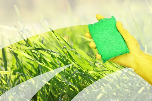 Stain removal basics for everyday household spills