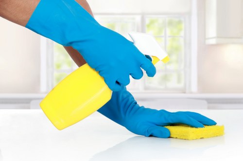 Professional sofa cleaning process in a modern home