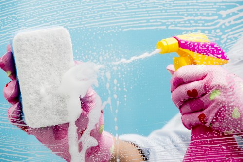 Cleaning a carpet stain after a pet accident