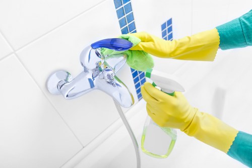 Professional carpet cleaner working in an Islington home interior