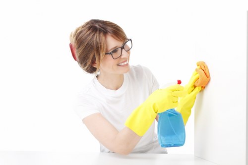Fabric and clothing stain removal techniques