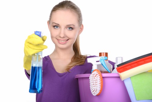 Essential stain removal tools and cleaning checklist