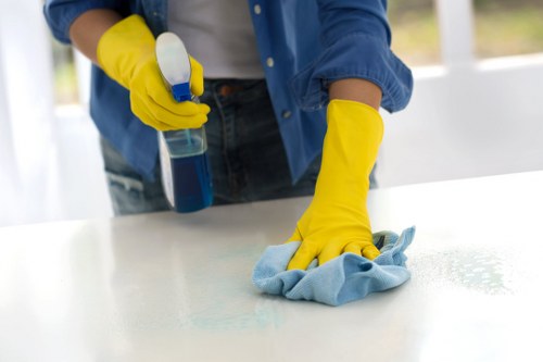 Homeowner comparing DIY and professional upholstery cleaning